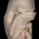 Illustration for article titled Award-winning images of some of the worlds smallest life forms